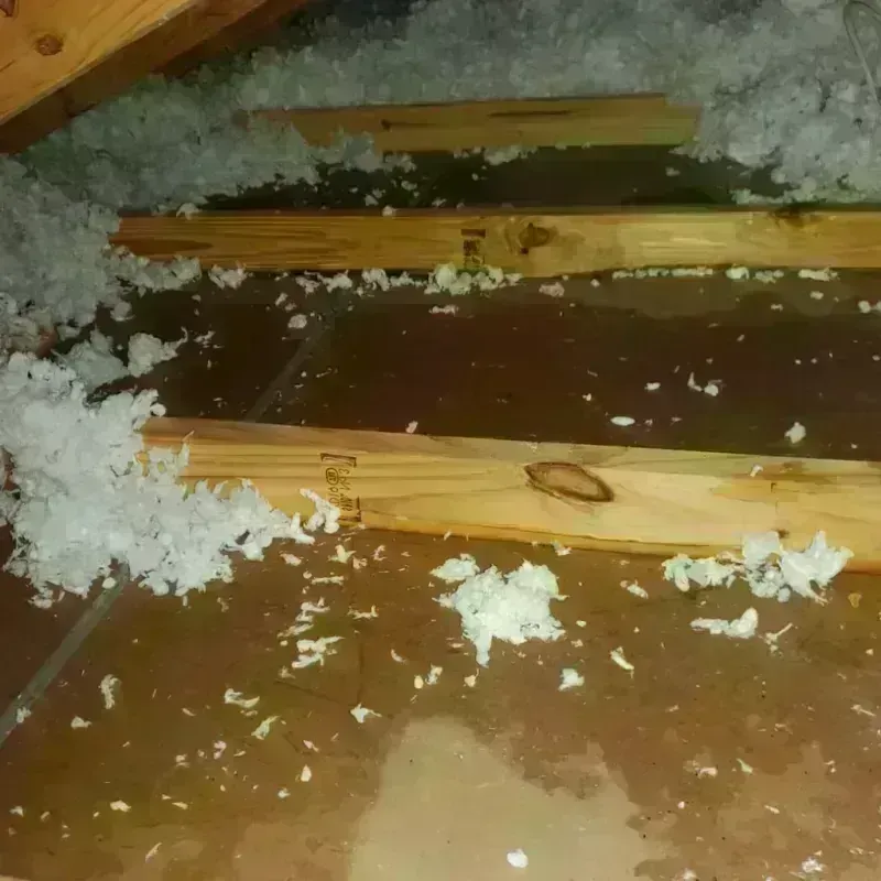 Attic Water Damage in Tucker, GA