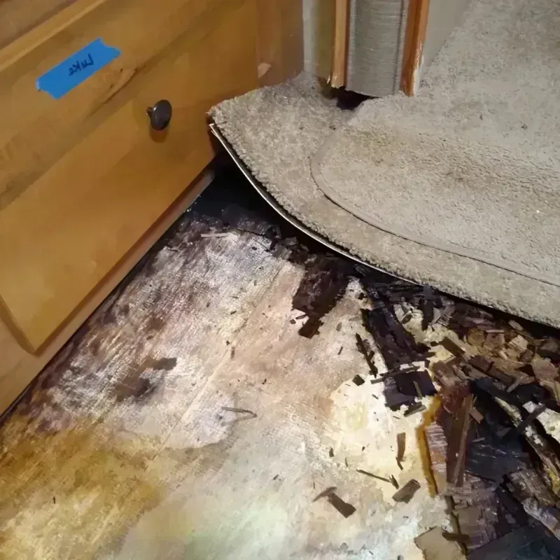 Wood Floor Water Damage in Tucker, GA